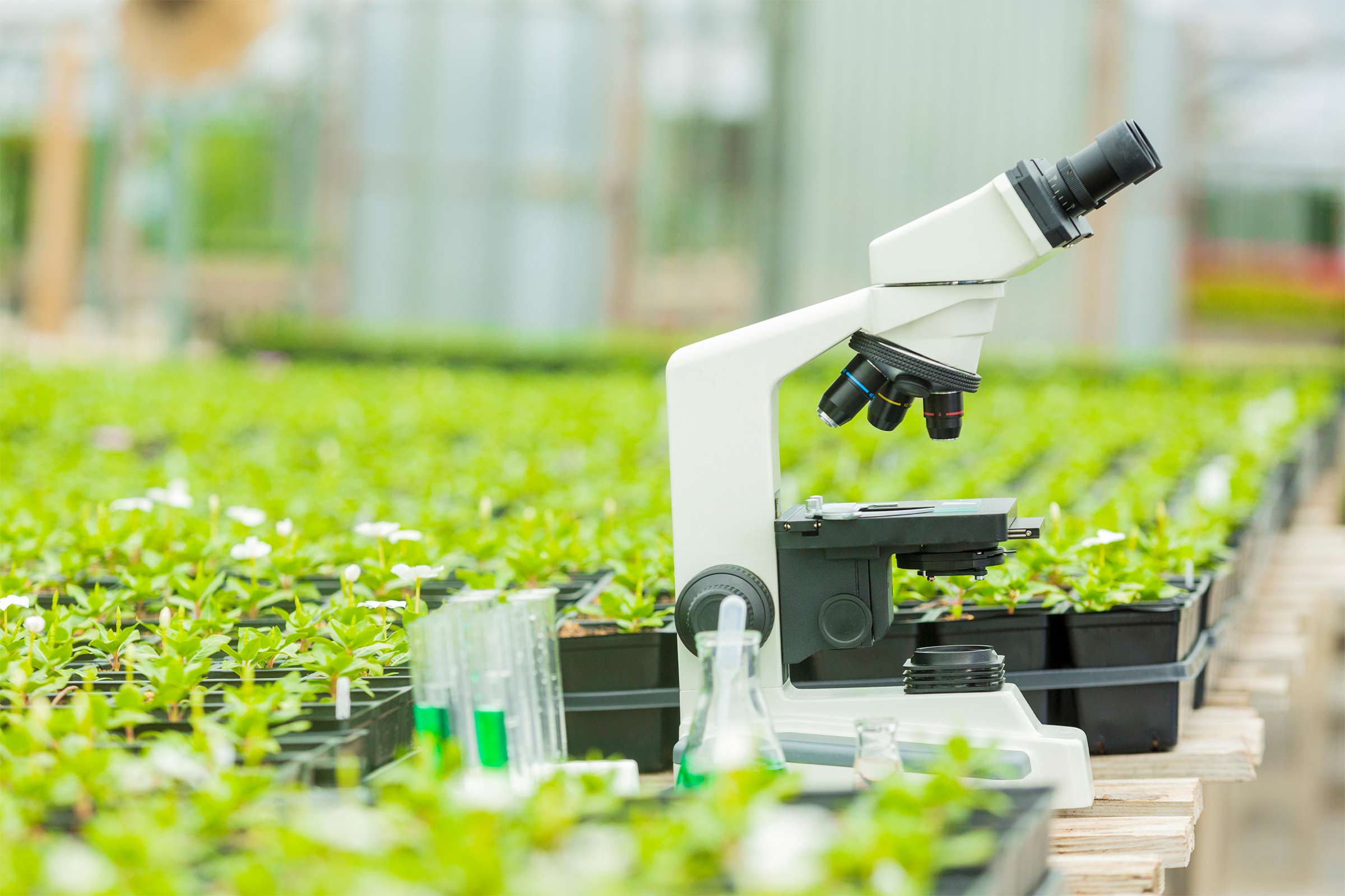 RESEARCH INSTITUTIONS & UNIVERSITIES